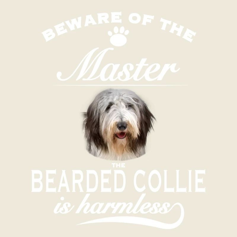 Beware of the master, harmless Bearded Collie