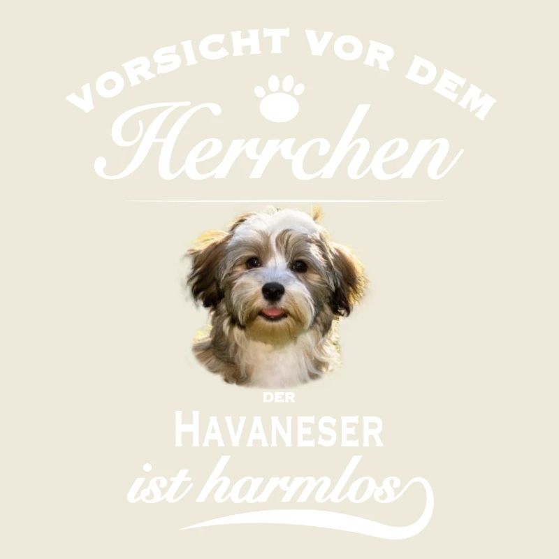 Vorsicht vor dem Herrchen, harmloser Havaneser