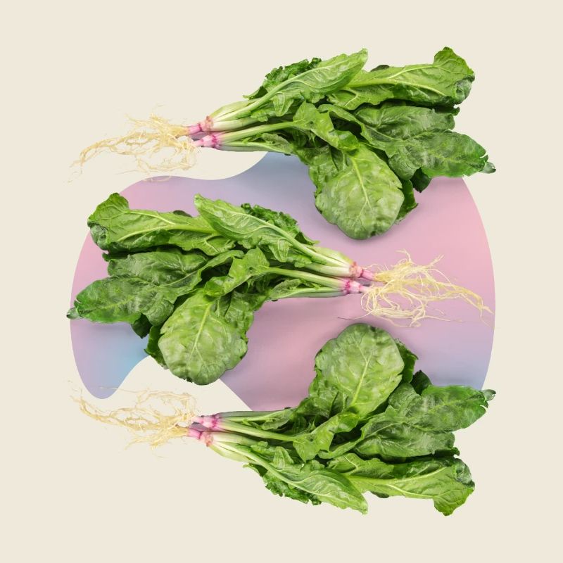Spinach, fresh spinach spinach leaf spinach