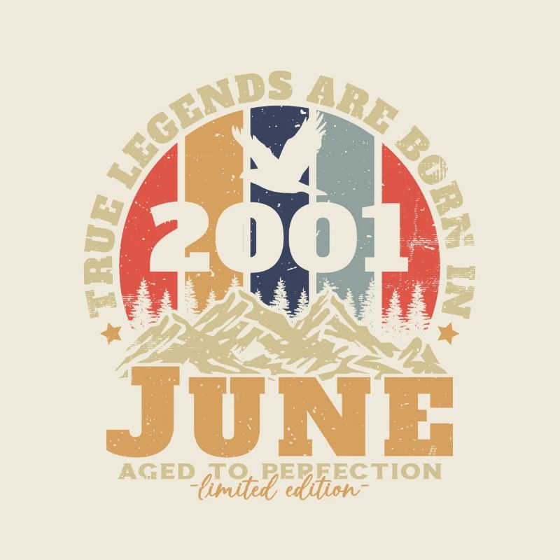 Retro Vintage Juni 2001 Geburtstagsgeschenk