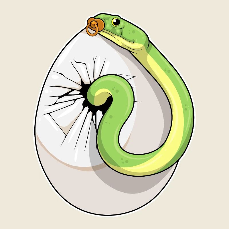 Snake Egg Pacifier