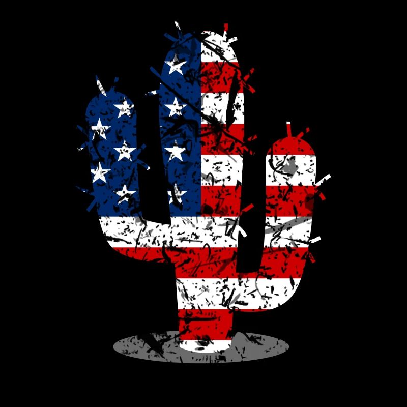 July 4th Cactus US Flag