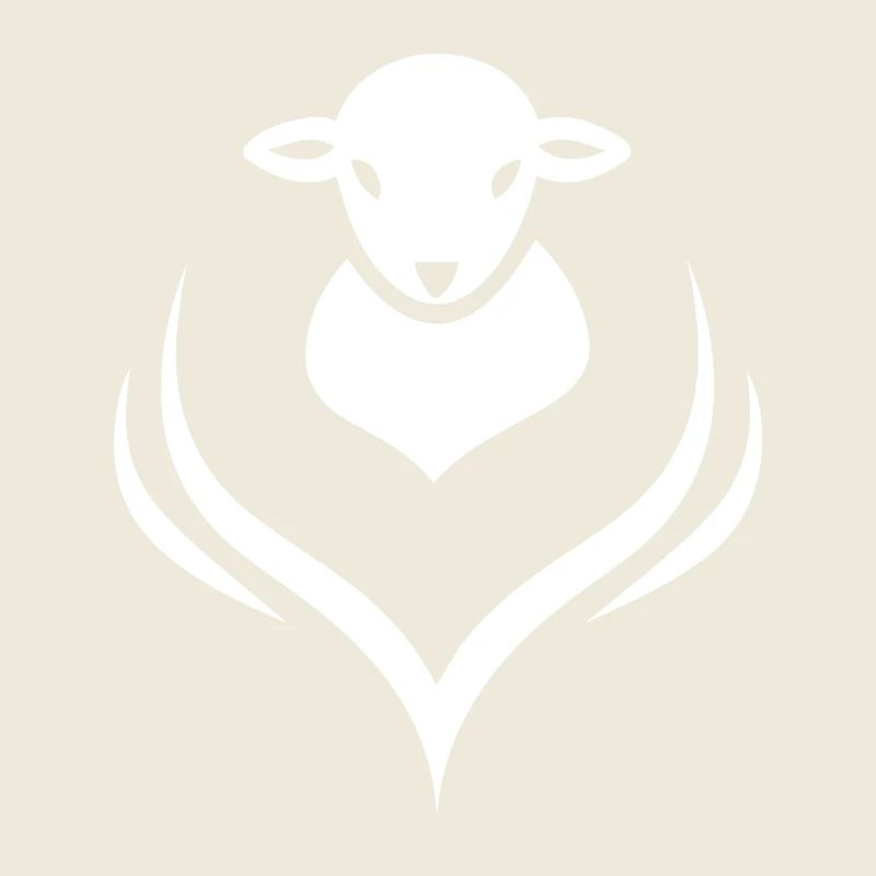 Lamb Lamb Sheep Shepherd