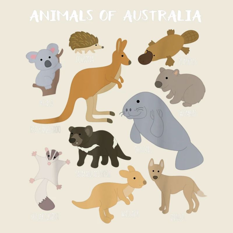 Animaux d’Australie Éducation animale australienne