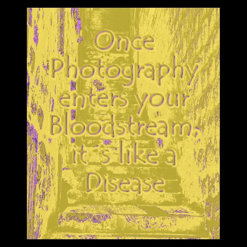 Maladie phtotographique olive