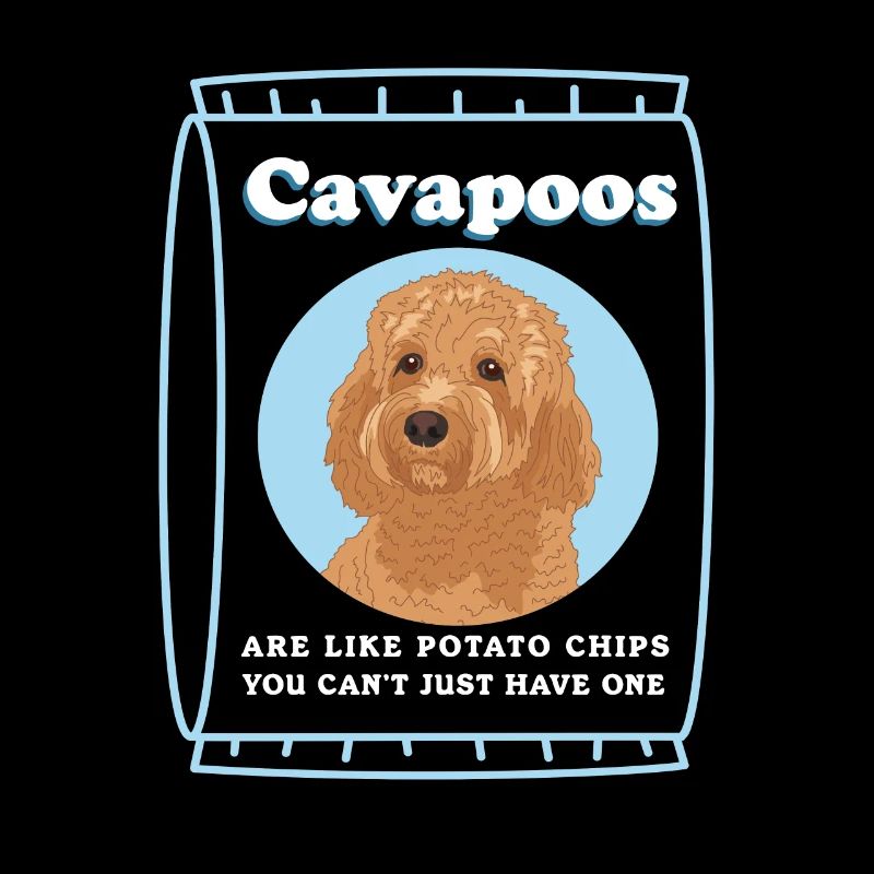 Chien Cavapoo | Cadeau du propriétaire de chien Cavoodle
