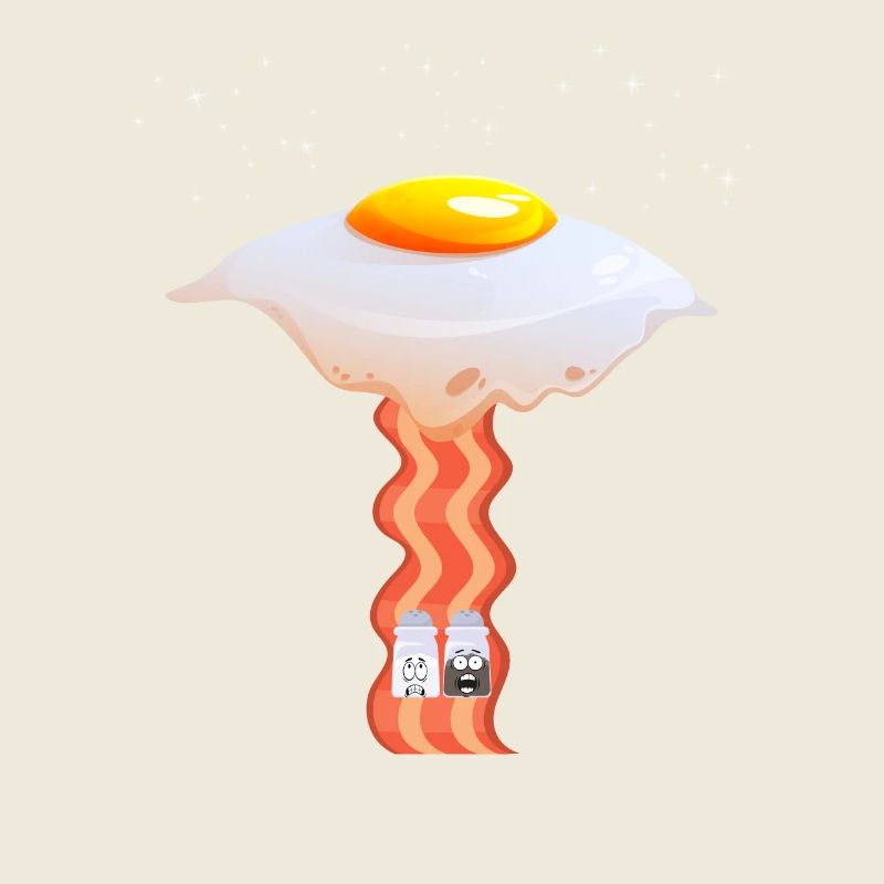 Funny Design Fried Egg UFO beams salt pepper