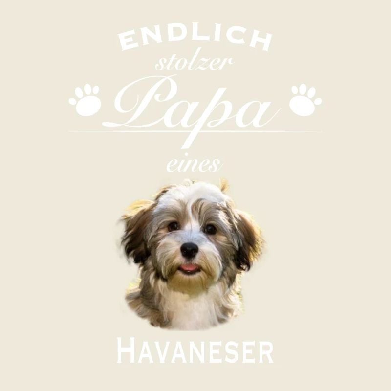 Endlich stolzer Papa - Havaneser