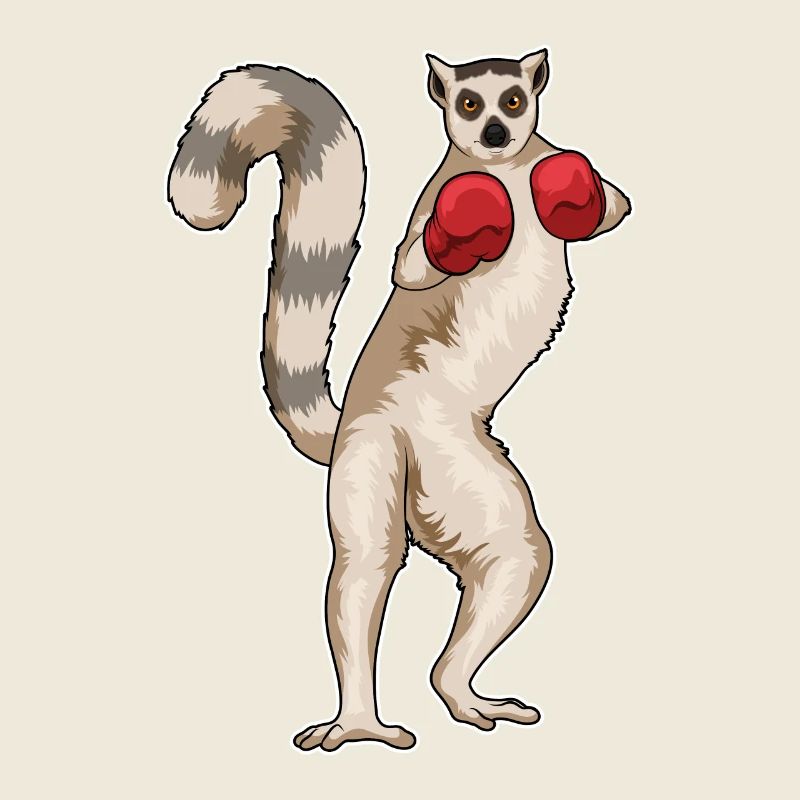 Lémuriens, Boxers, Gants de boxe, Boxe