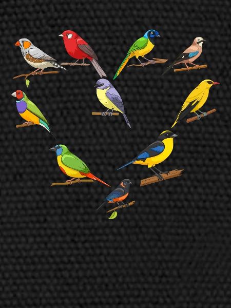 Drôle d’observation d’oiseaux