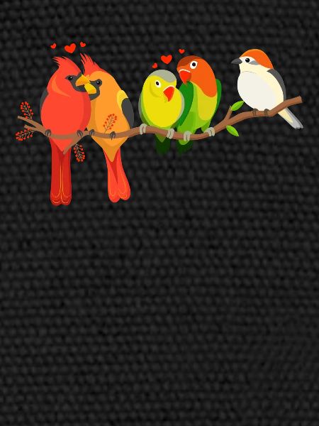 Drôle d’observation d’oiseaux