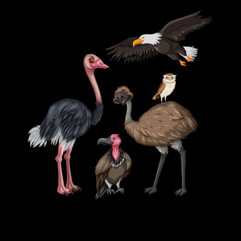 Drôle d’observation d’oiseaux