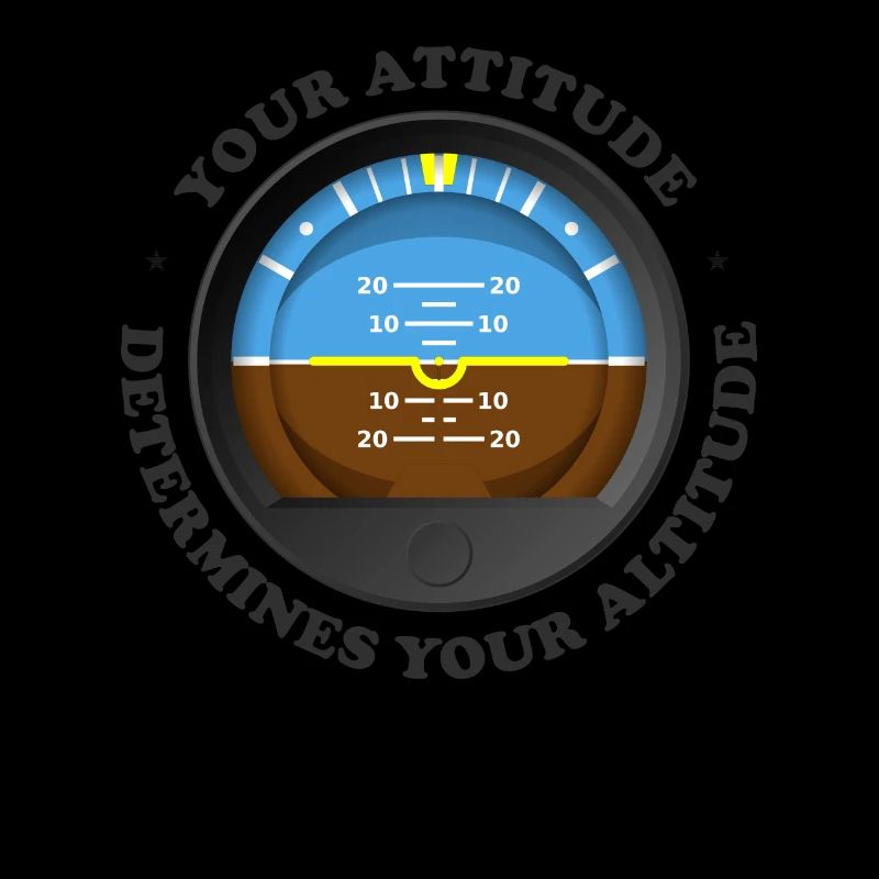 Your Attitude Determines Your Altitude - Aviation