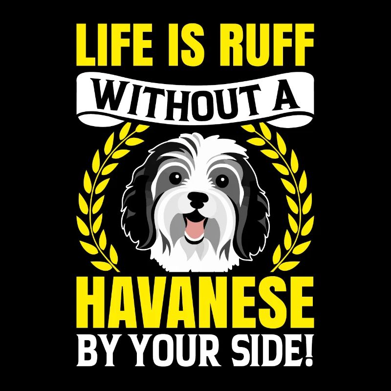 La vie est Ruff sans un bichon havanais à vos côtés