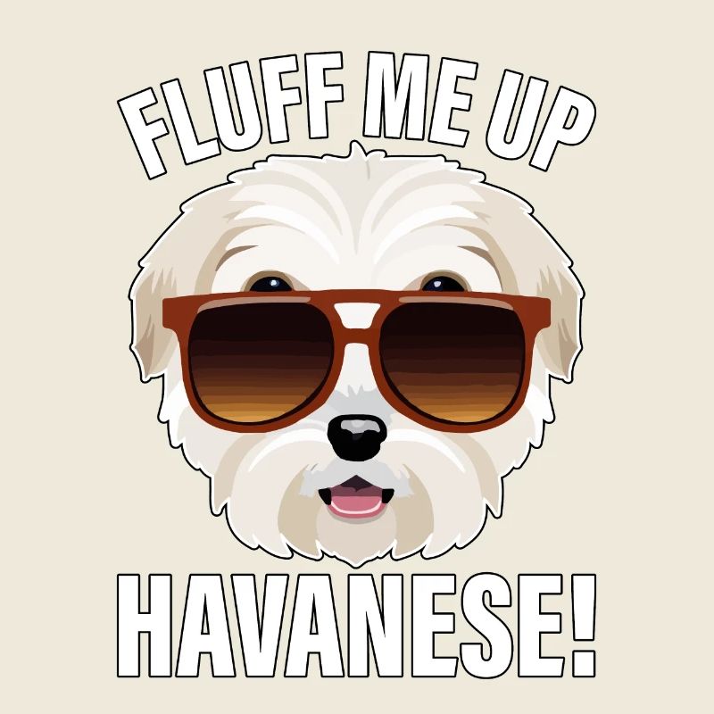 Fluff me up Havanese