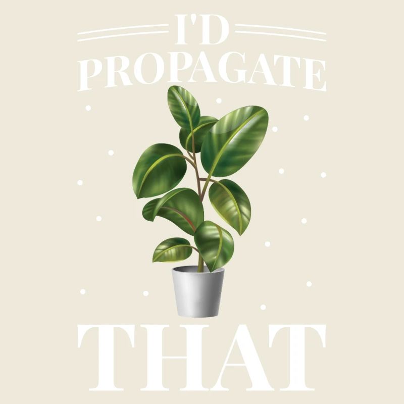 Ficus elastica plant lover that I would