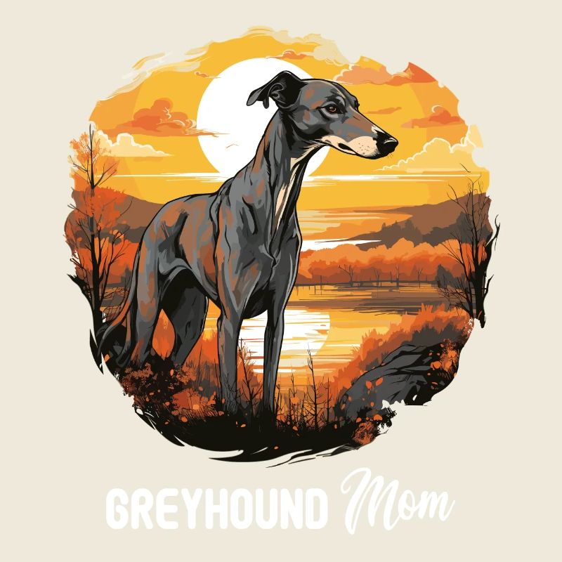 Hund Greyhound