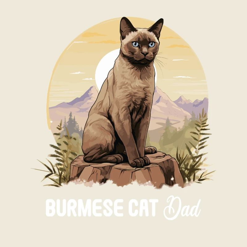 Burmese Cat Burma Katze