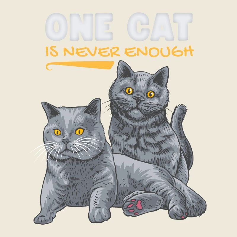 Drôle De Chat, British Shorthair, Chat Disant