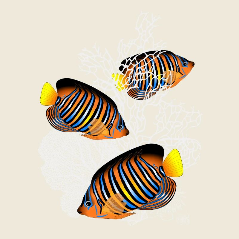 Fish, Corals, Sea, Ocean, Tropical Fish