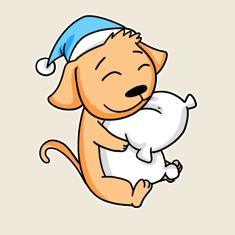 Chien avec oreiller et bonnet somnolent