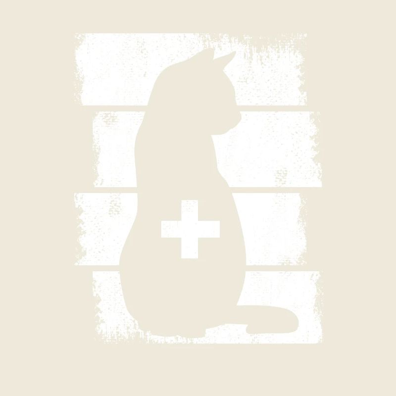 Katzen Tierarzt