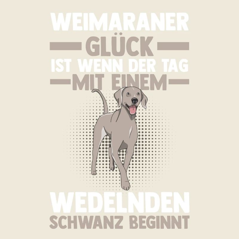 Braque de Weimar chien