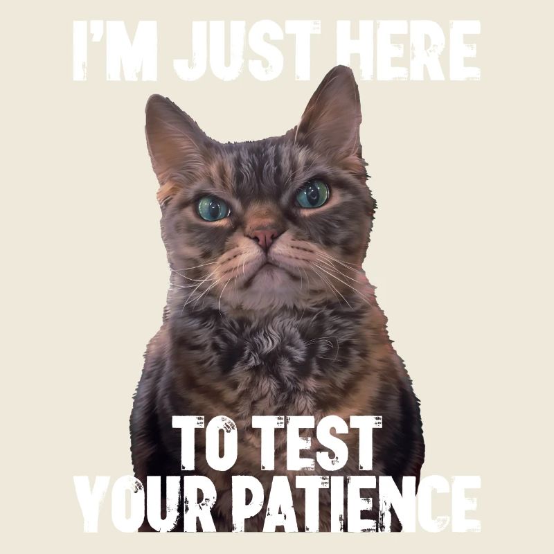 Juste ici pour tester votre patience