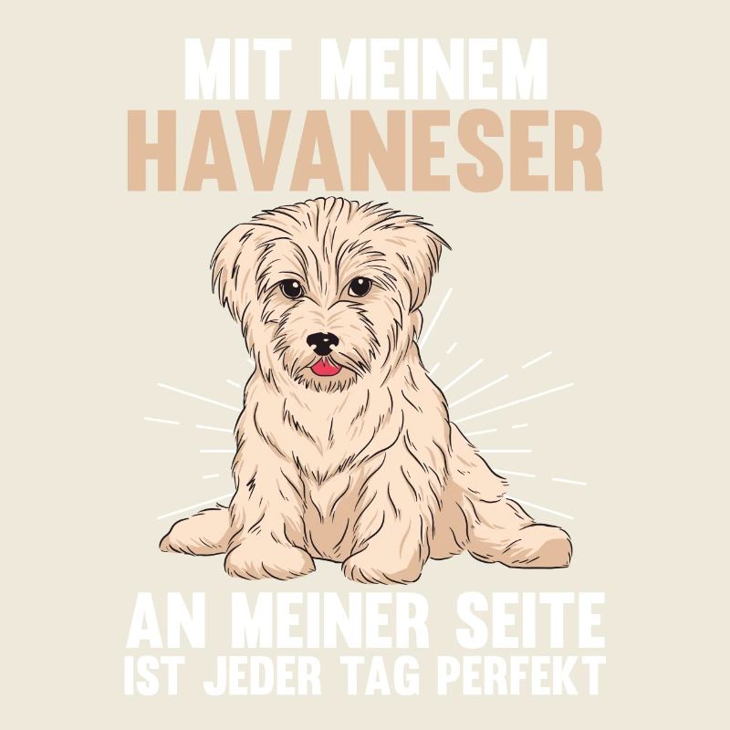 Hund Havaneser