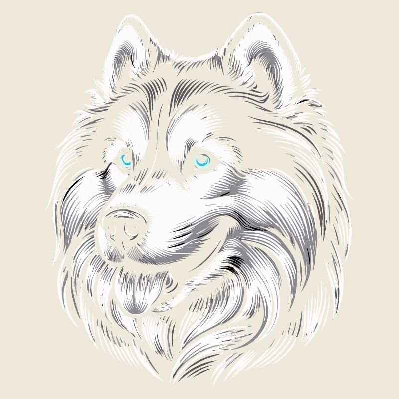 Siberian husky