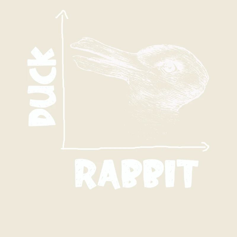 Wittgenstein lapin canard illusion