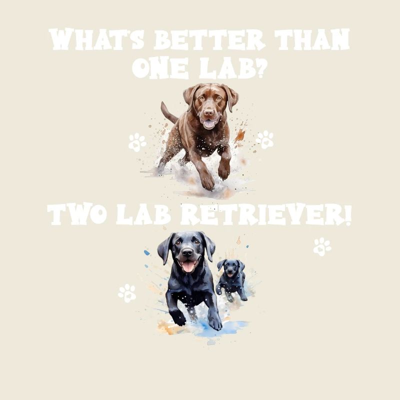 What s better than one Lab? Two Lab Retriever