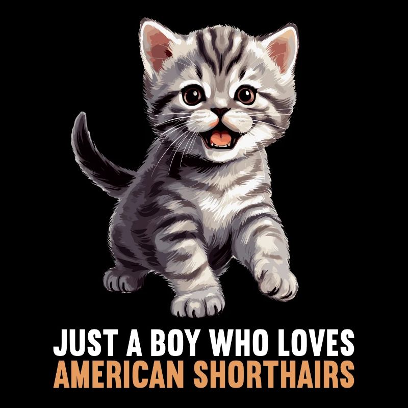 Chat Chats American Shorthair