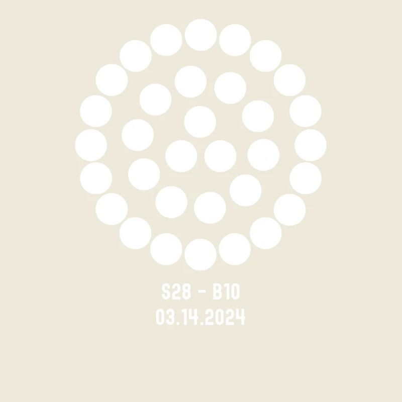 Save the Date 3.14 Dritter Flugtest der größten