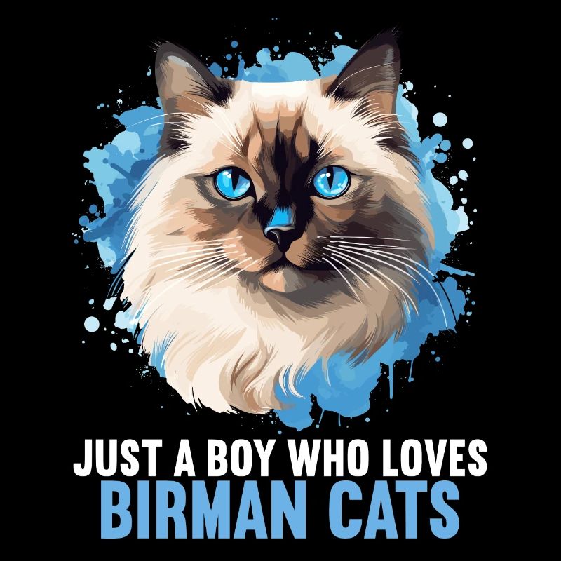 Birman Cat Birma Katze