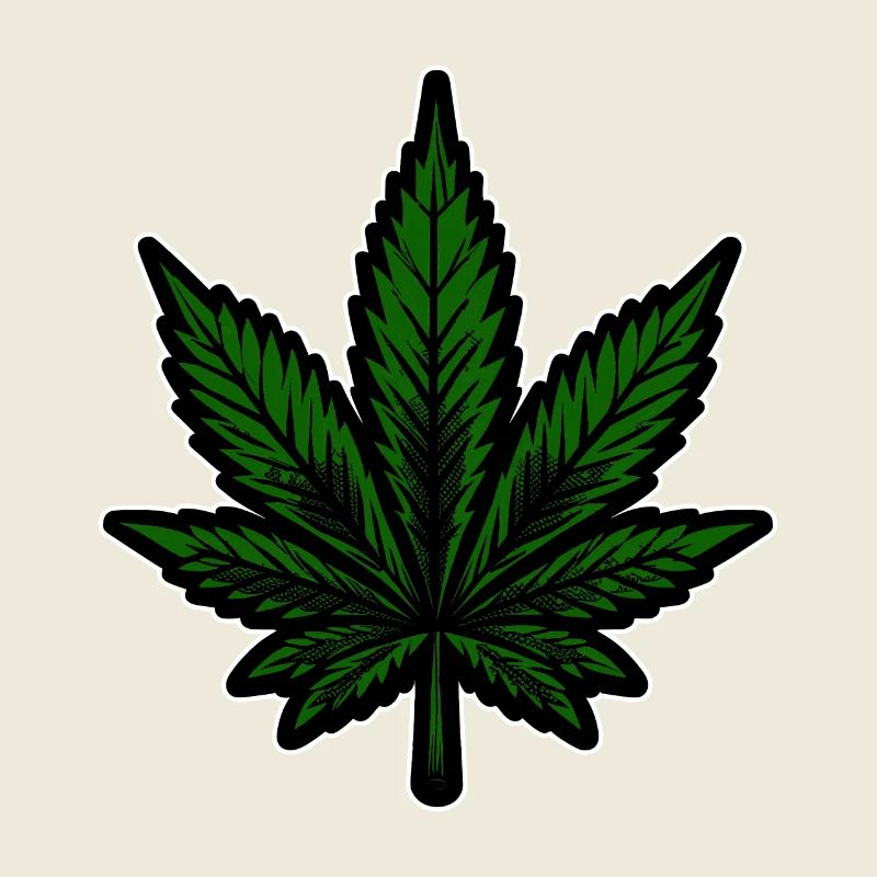 Hanf, Cannabis, Gras, Babak, Bobaz, Cannabisblatt