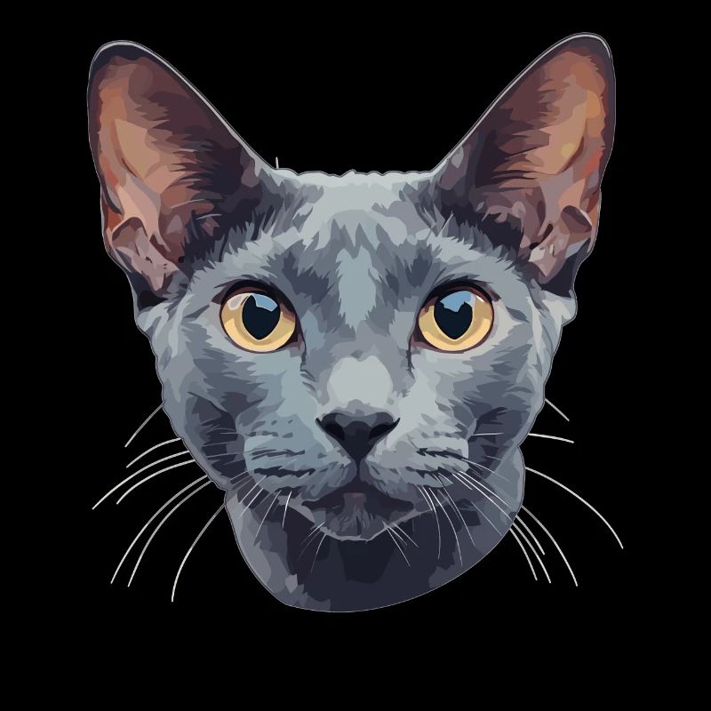 Chat bleu russe Russisch Blau Katze