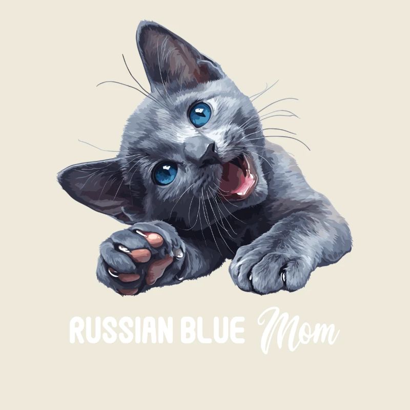 Chat bleu russe Russisch Blau Katze