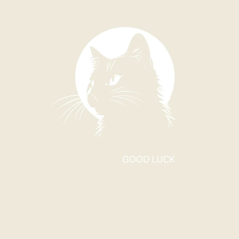 Bonne chance, chat noir, superstition, chance, malheur