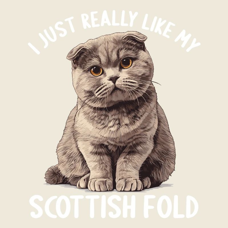 Scottish Fold Kätzchen Scottish Fold Katze