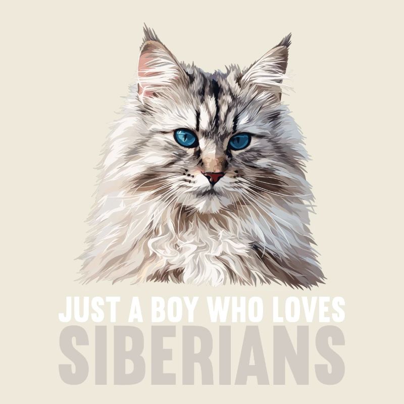 Chat Sibérien Sibirische Katze
