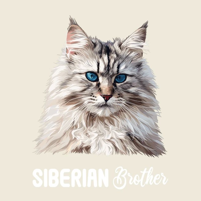 Chat Sibérien Sibirische Katze