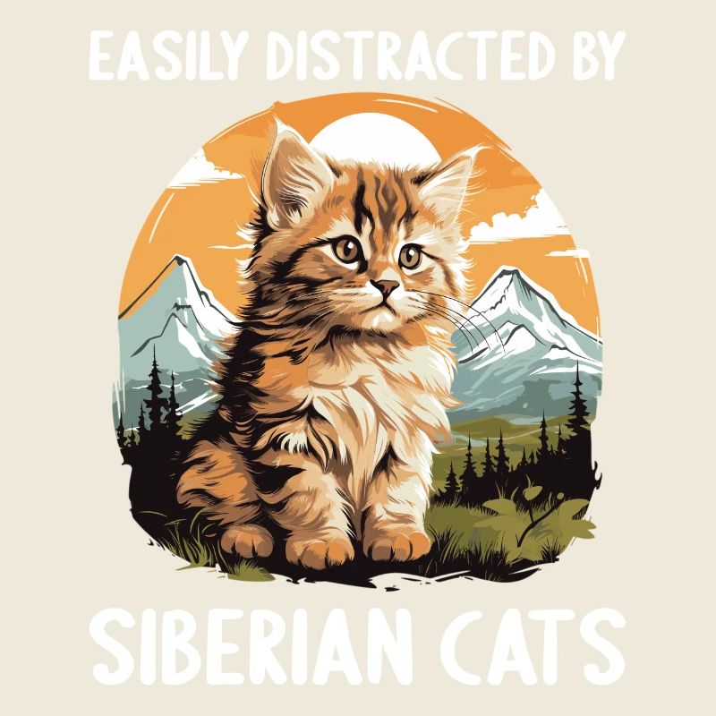 Chat Sibérien Sibirische Katze