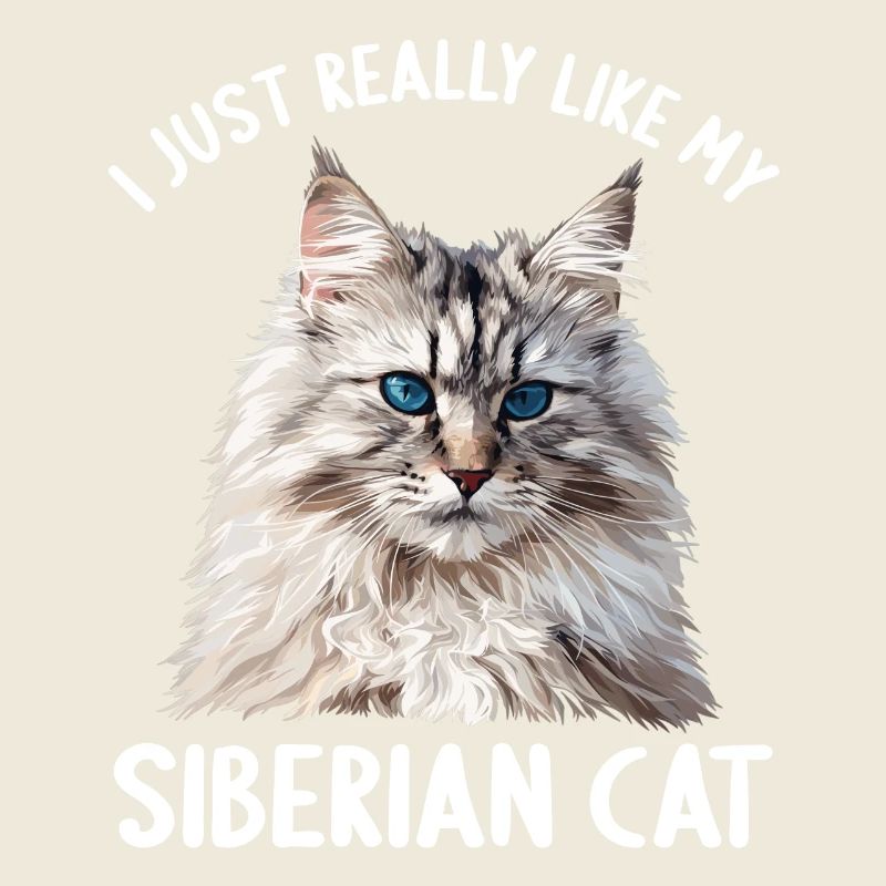 Chat Sibérien Sibirische Katze