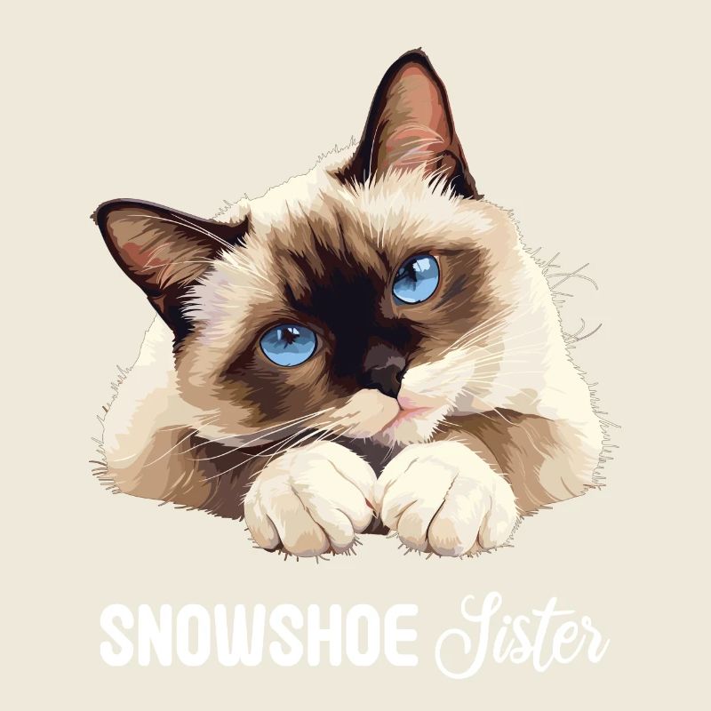 Snowshoe Kitten Snowshoe Cat