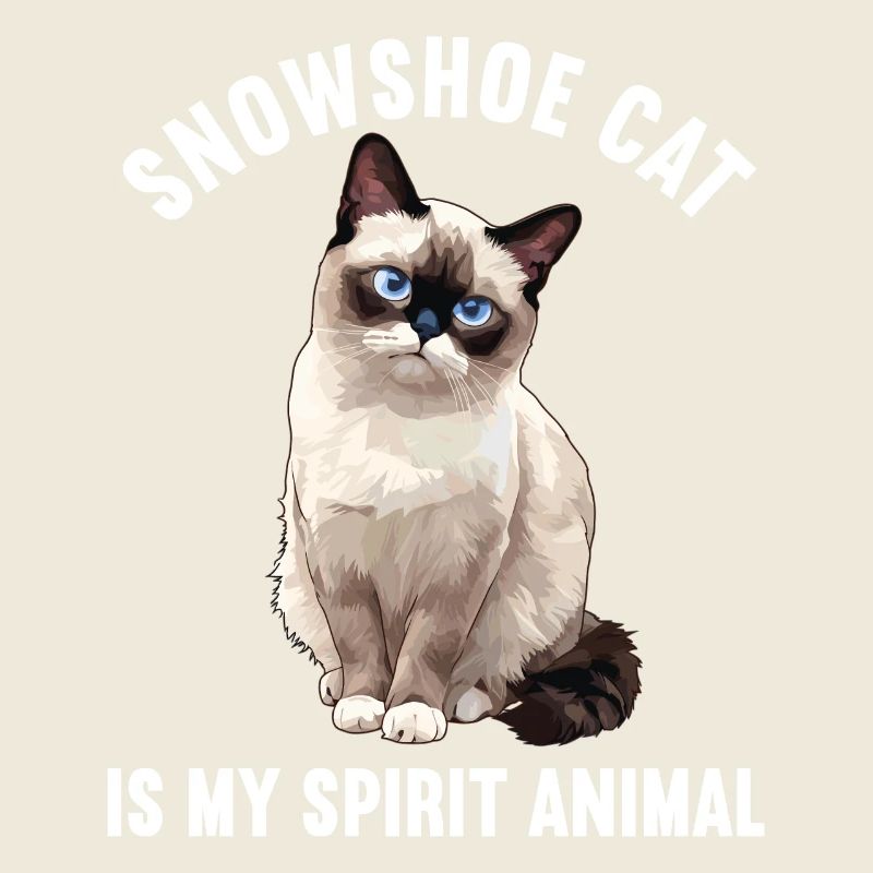 Snowshoe Kitten Snowshoe Cat