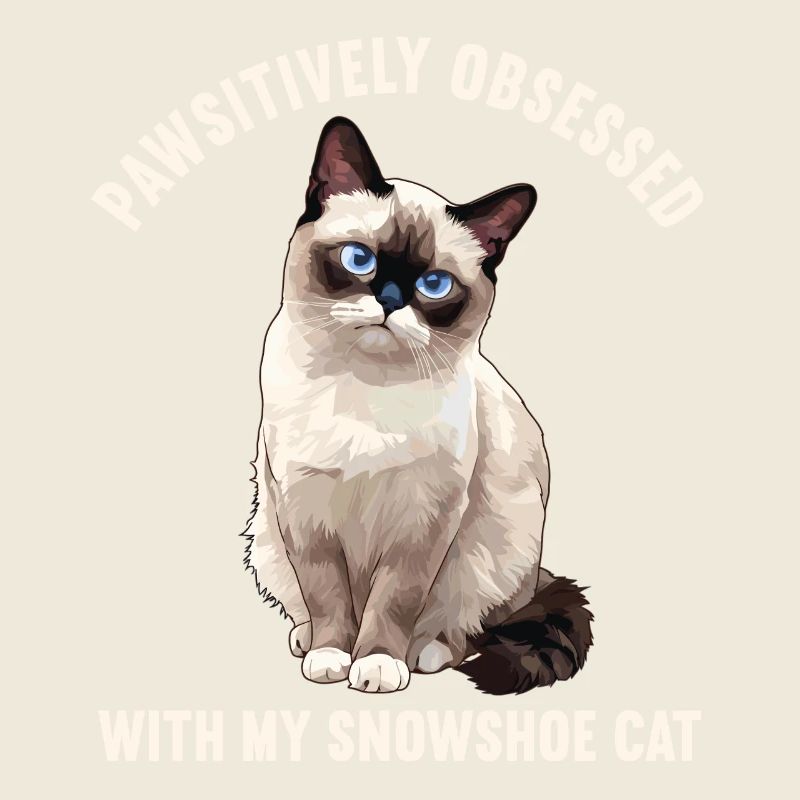 Snowshoe Kitten Snowshoe Cat