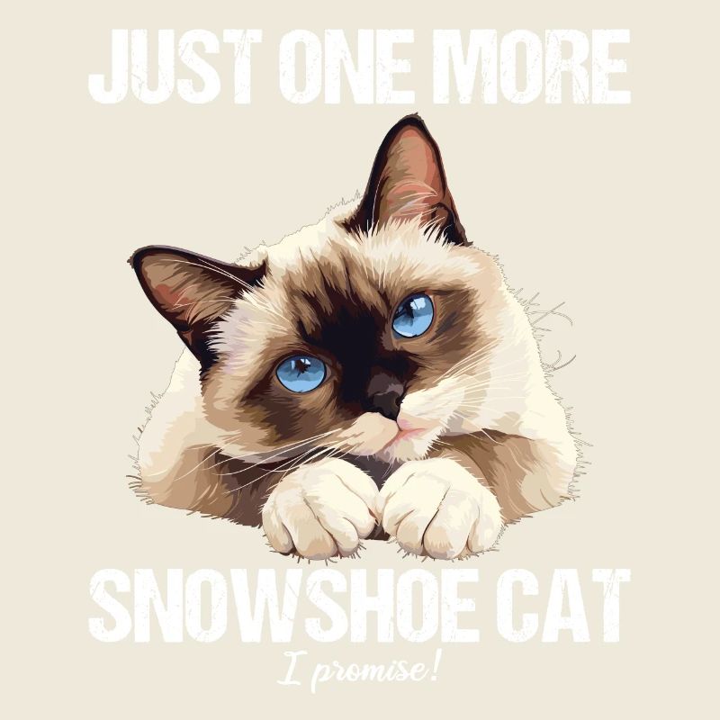 Snowshoe Kitten Snowshoe Cat