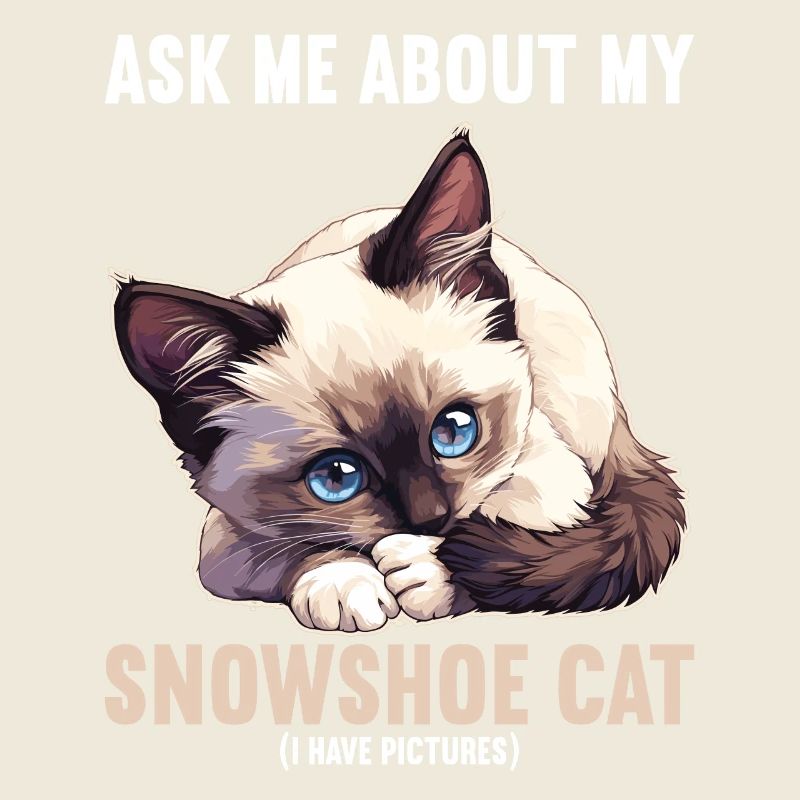 Snowshoe Kitten Snowshoe Cat