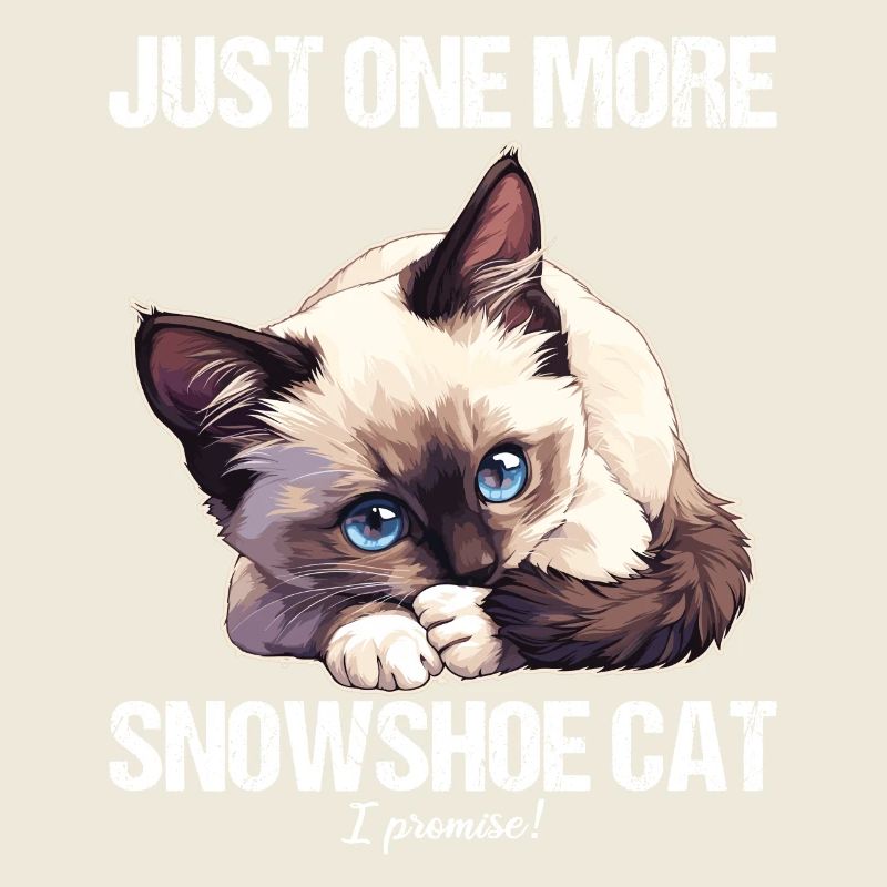 Snowshoe Kitten Snowshoe Cat